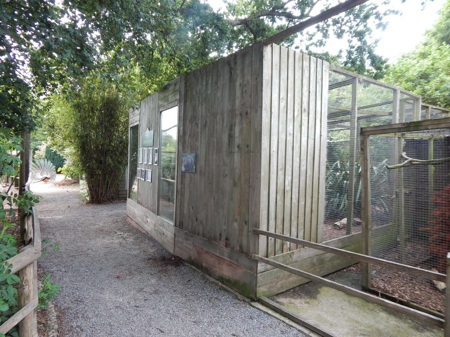 Fishing cat enclosure 060625