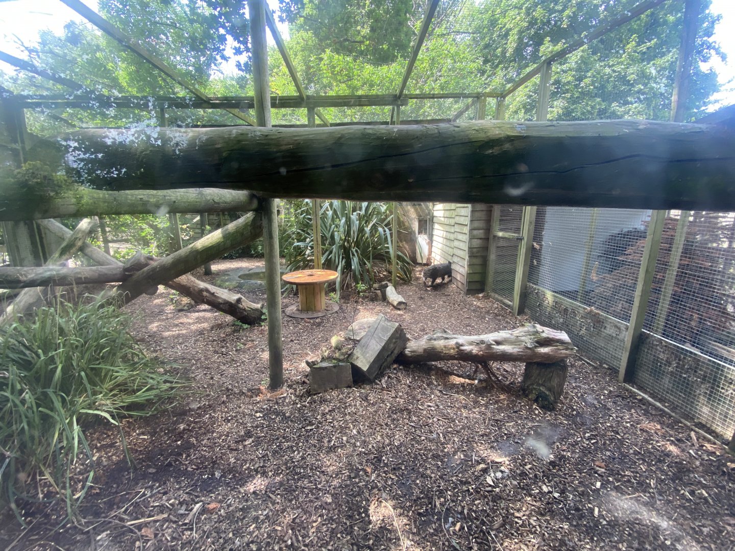Fishing cat enclosure 060625
