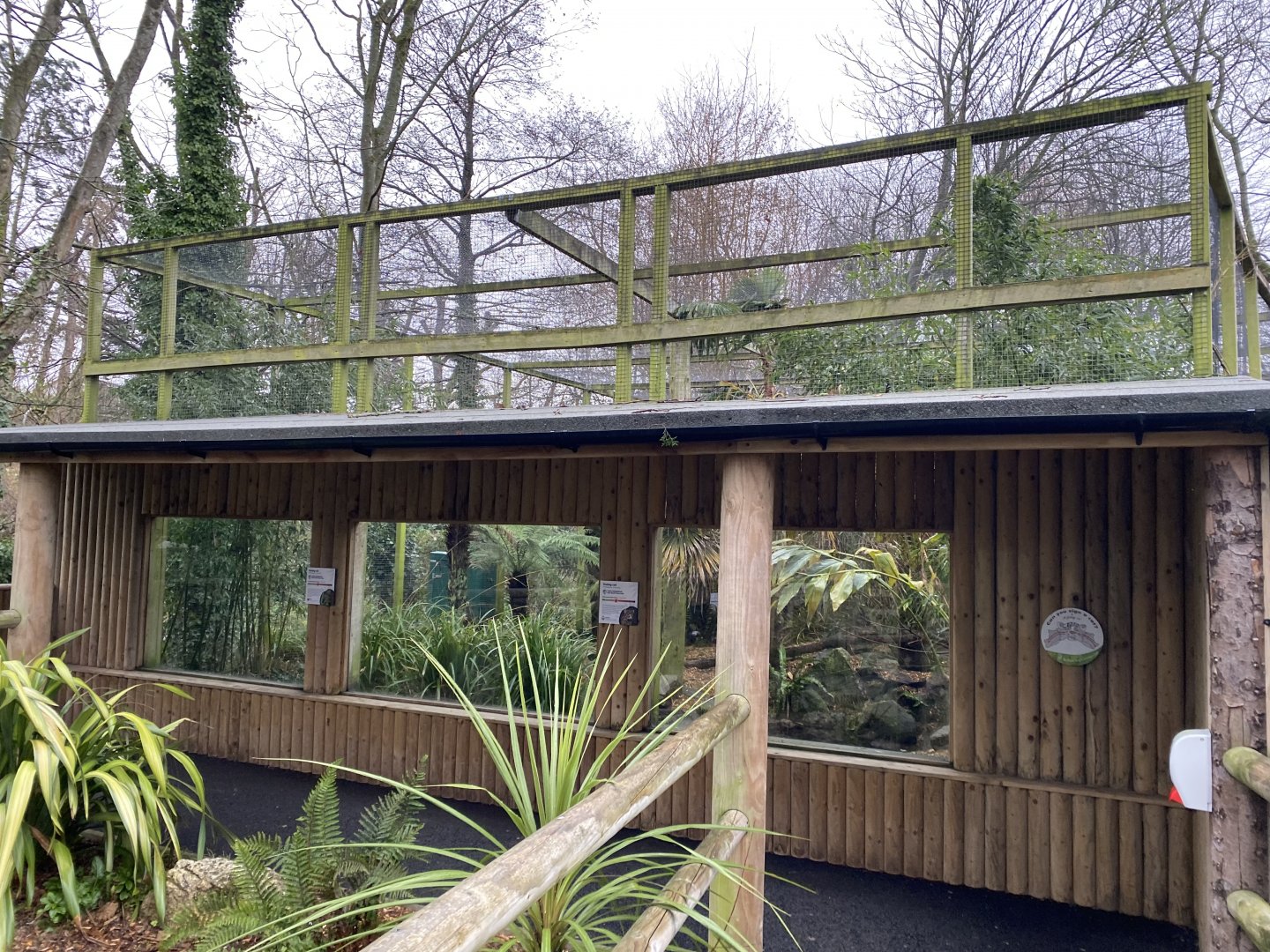 Fishing cat enclosure 111221