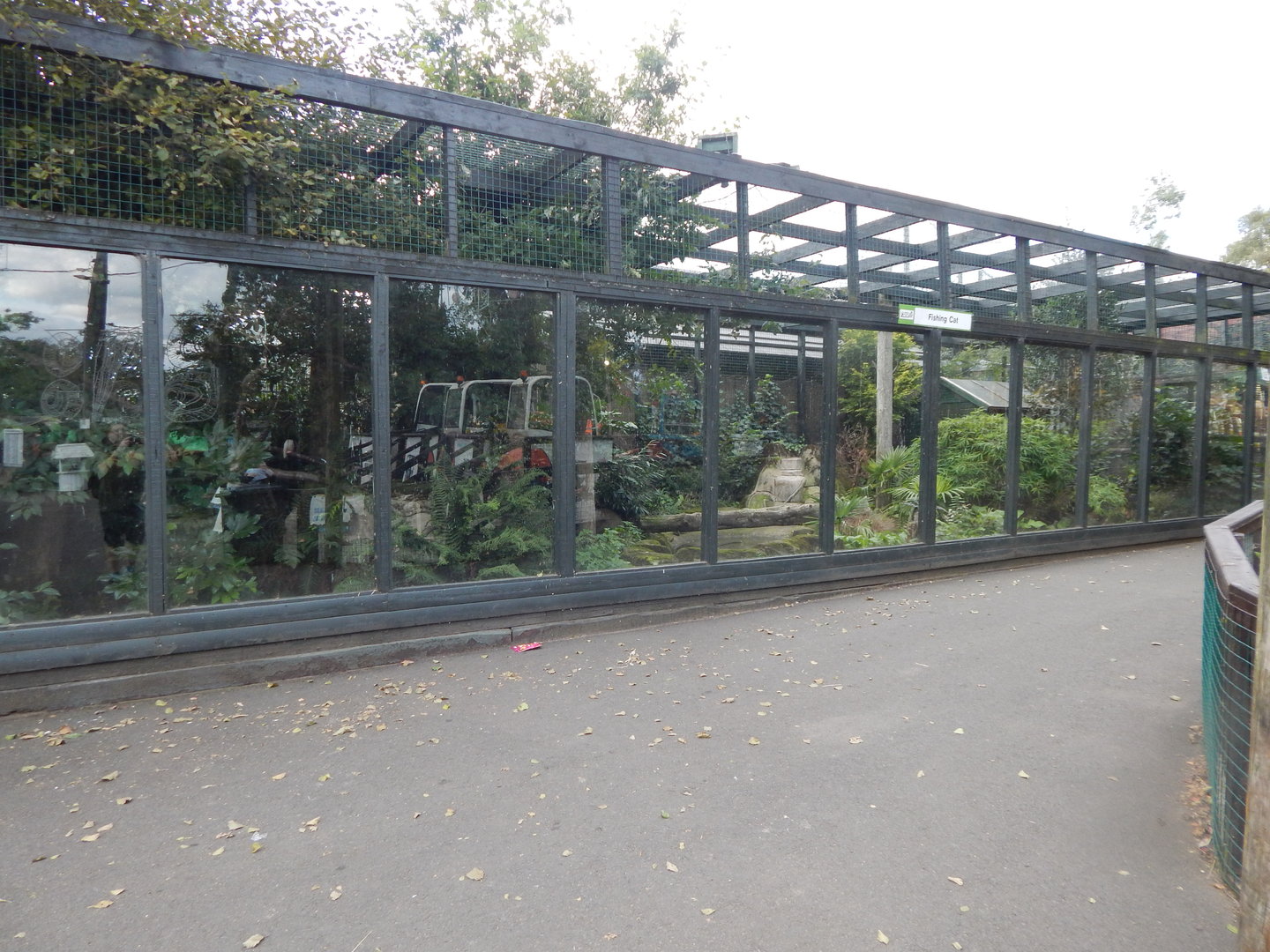 Fishing cat enclosure 200922