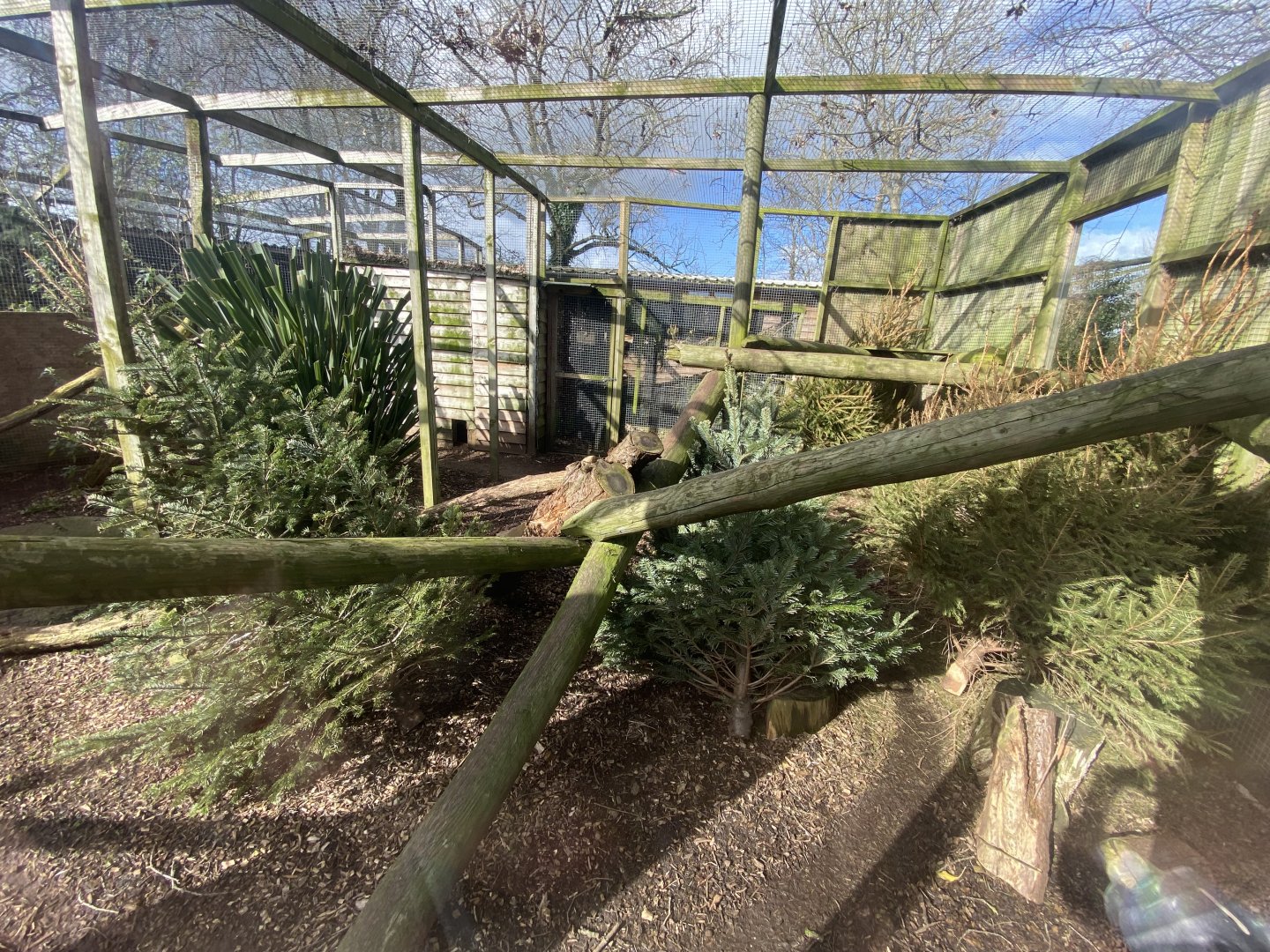 Fishing cat enclosure 250222