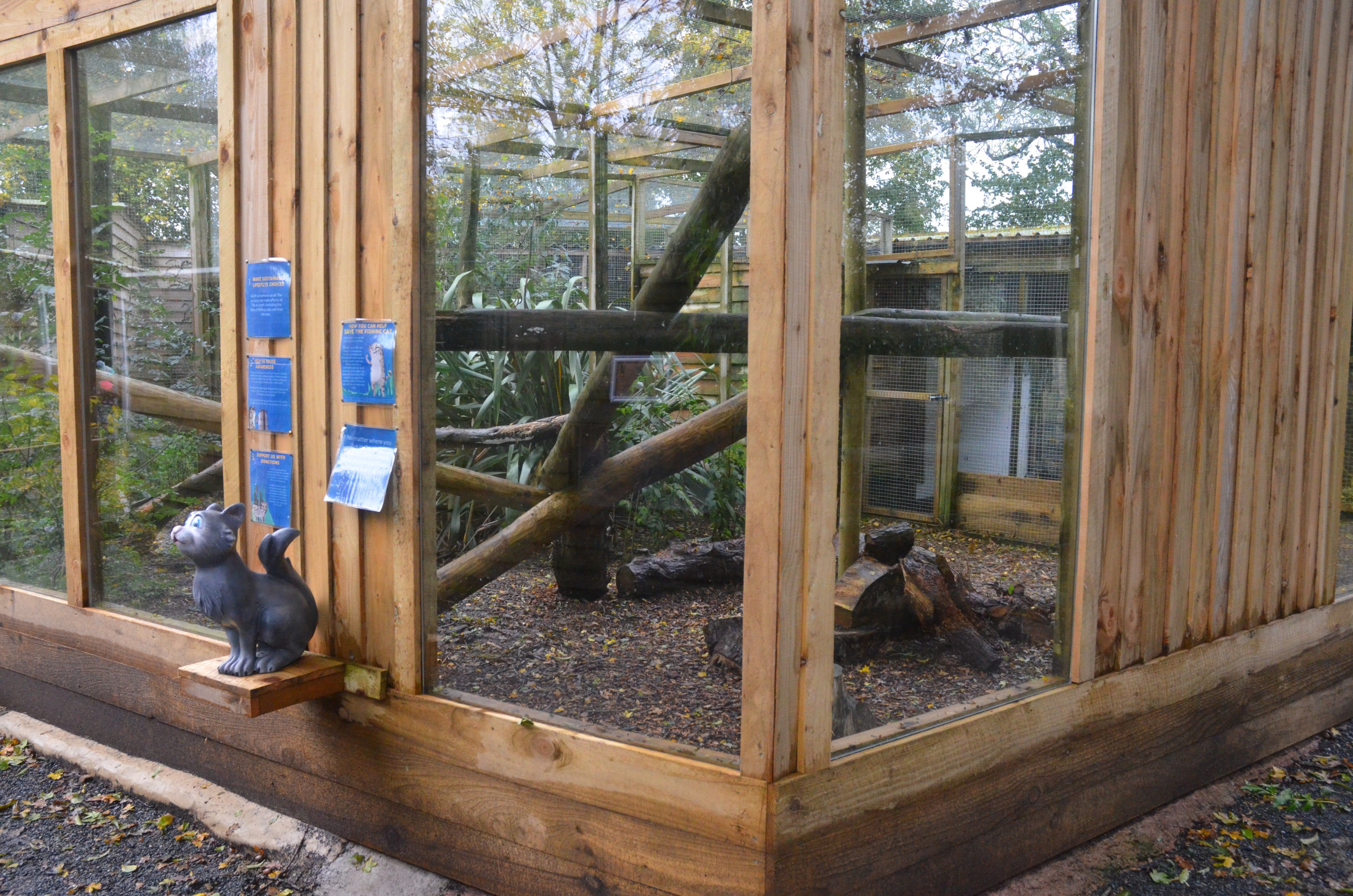 Fishing Cat Enclosure at Axe Valley, 02/11/19
