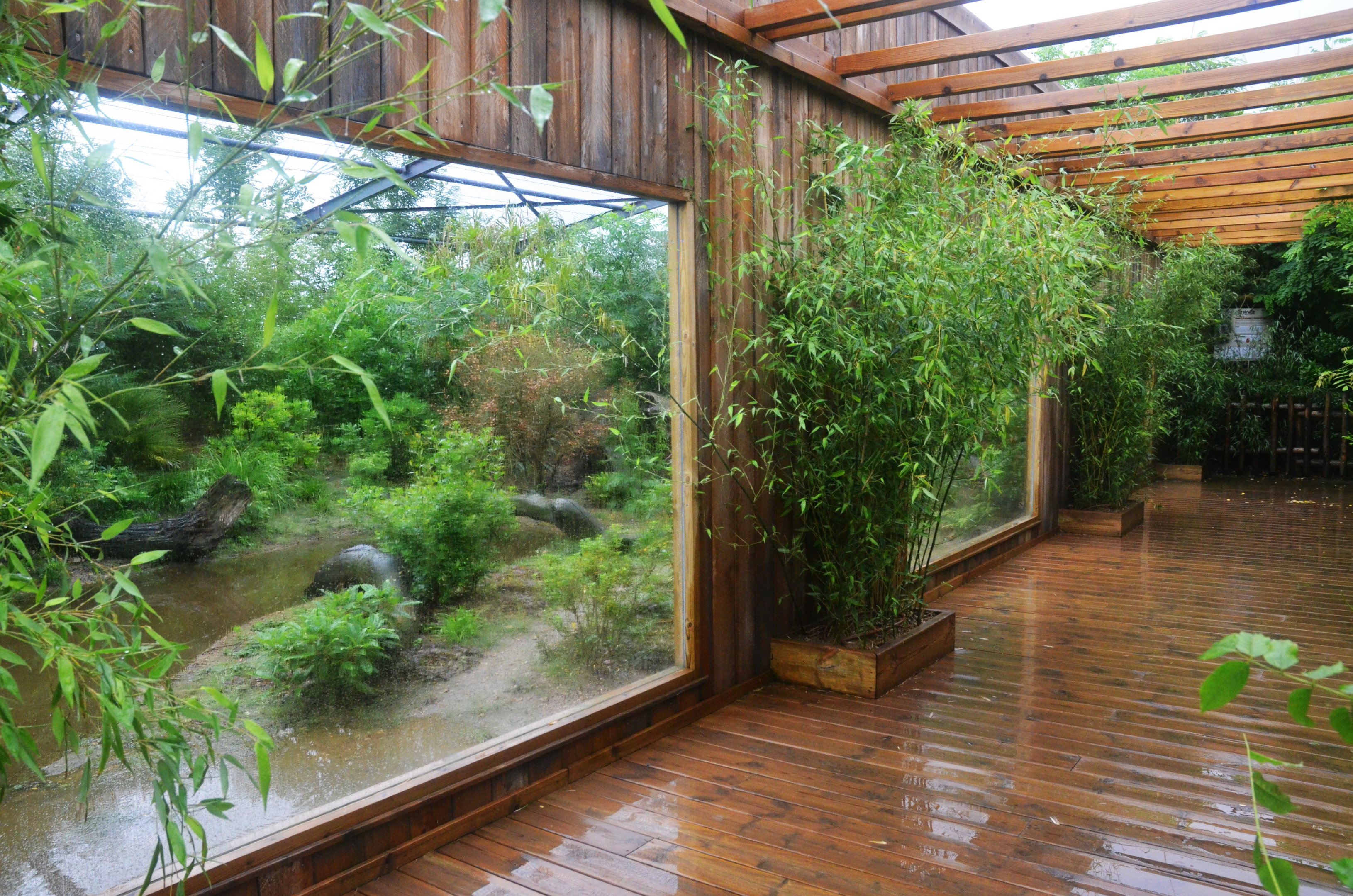 Fishing Cat Enclosure at La Flèche, 11/06/18