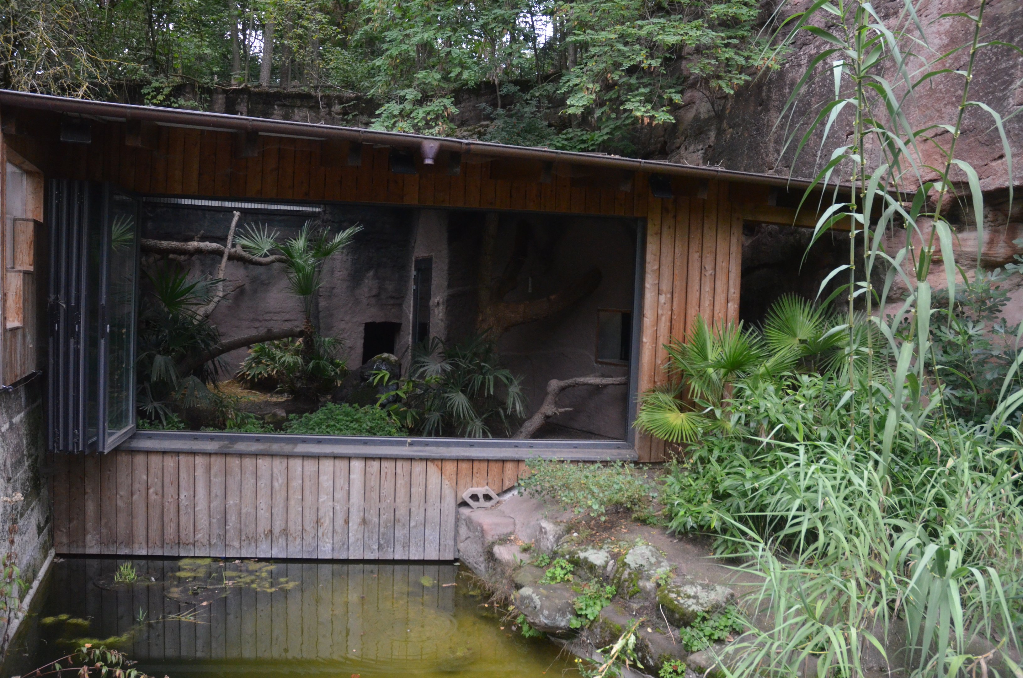 Fishing Cat Enclosure at Nuremberg, 07/09/19