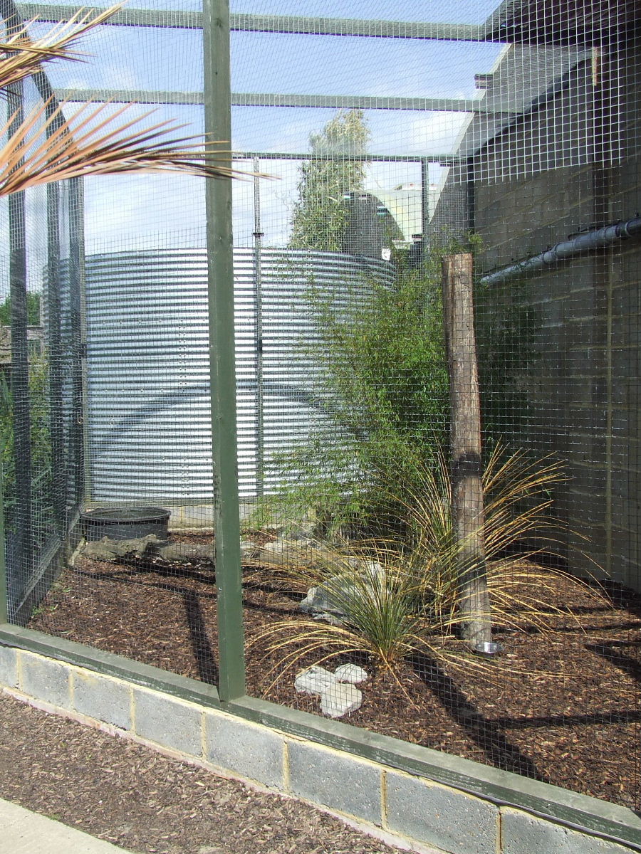 Fishing Cat enclosure (cage), Rare Species Conservation Centre, Sandwich