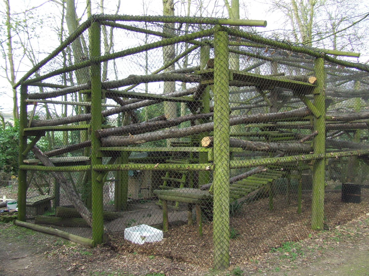 Fishing Cat enclosure (cage)