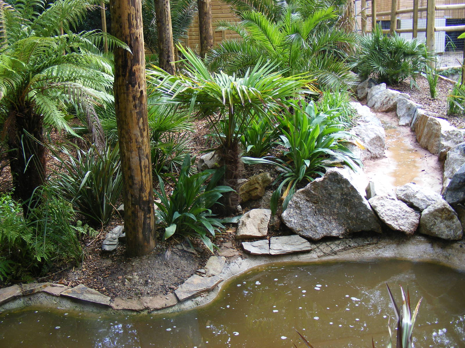 Fishing cat enclosure in Philippines exhibit at Newquay Zoo, 1 August 2009