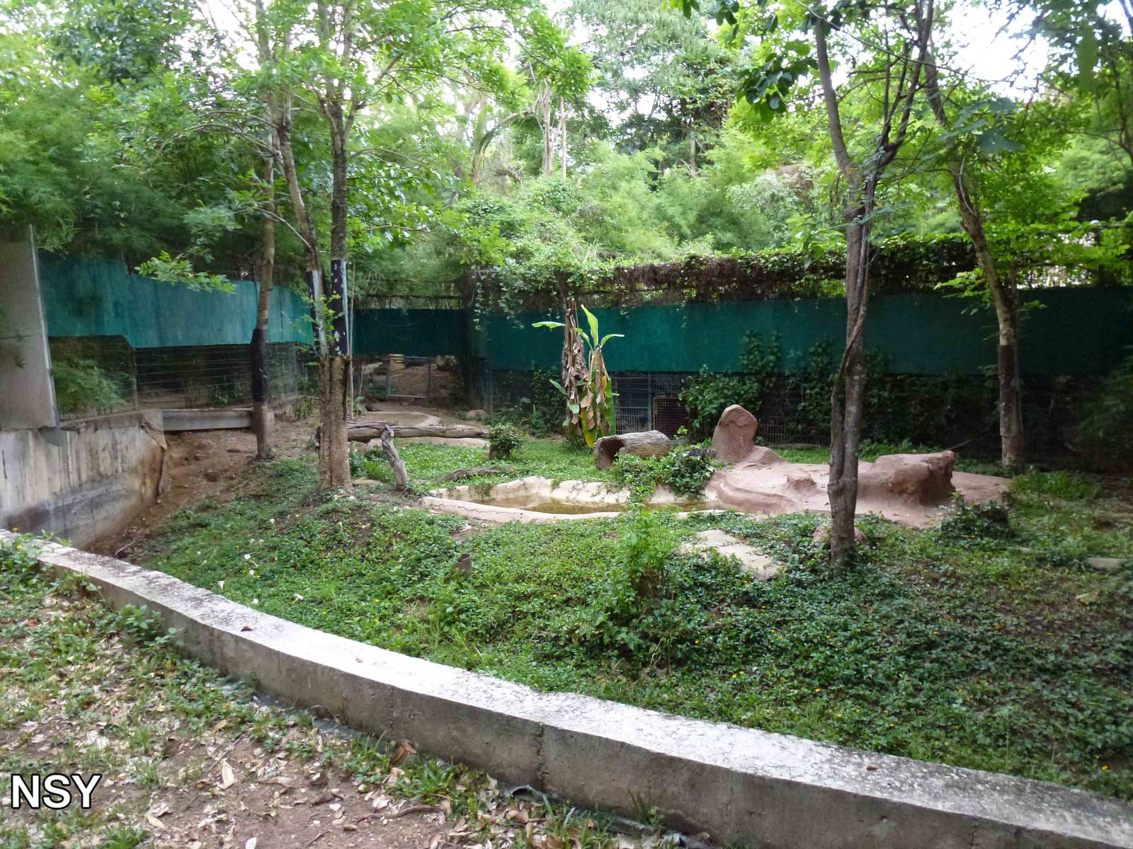 Fishing cat enclosure, June 2013.