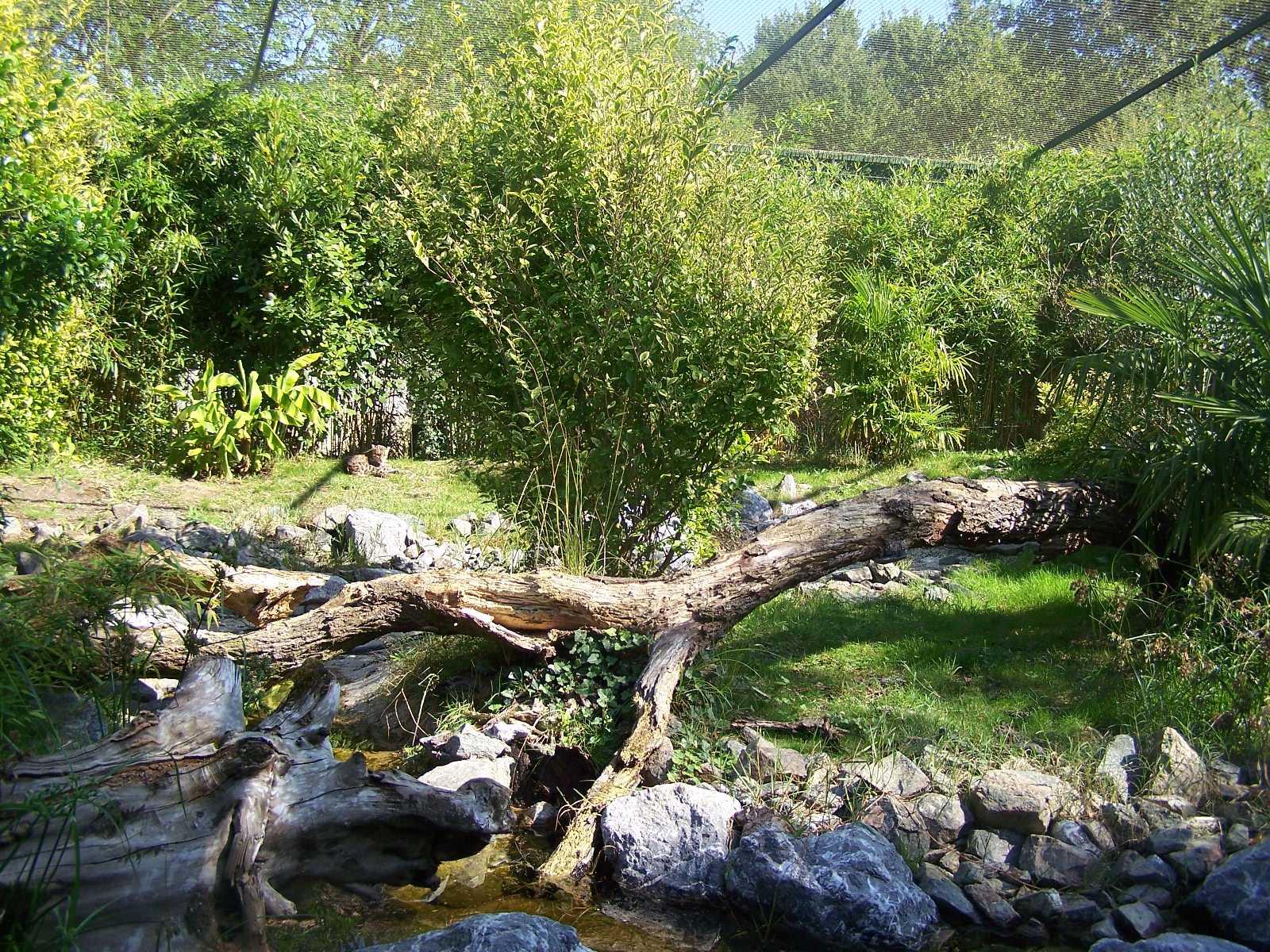 fishing cat enclosure