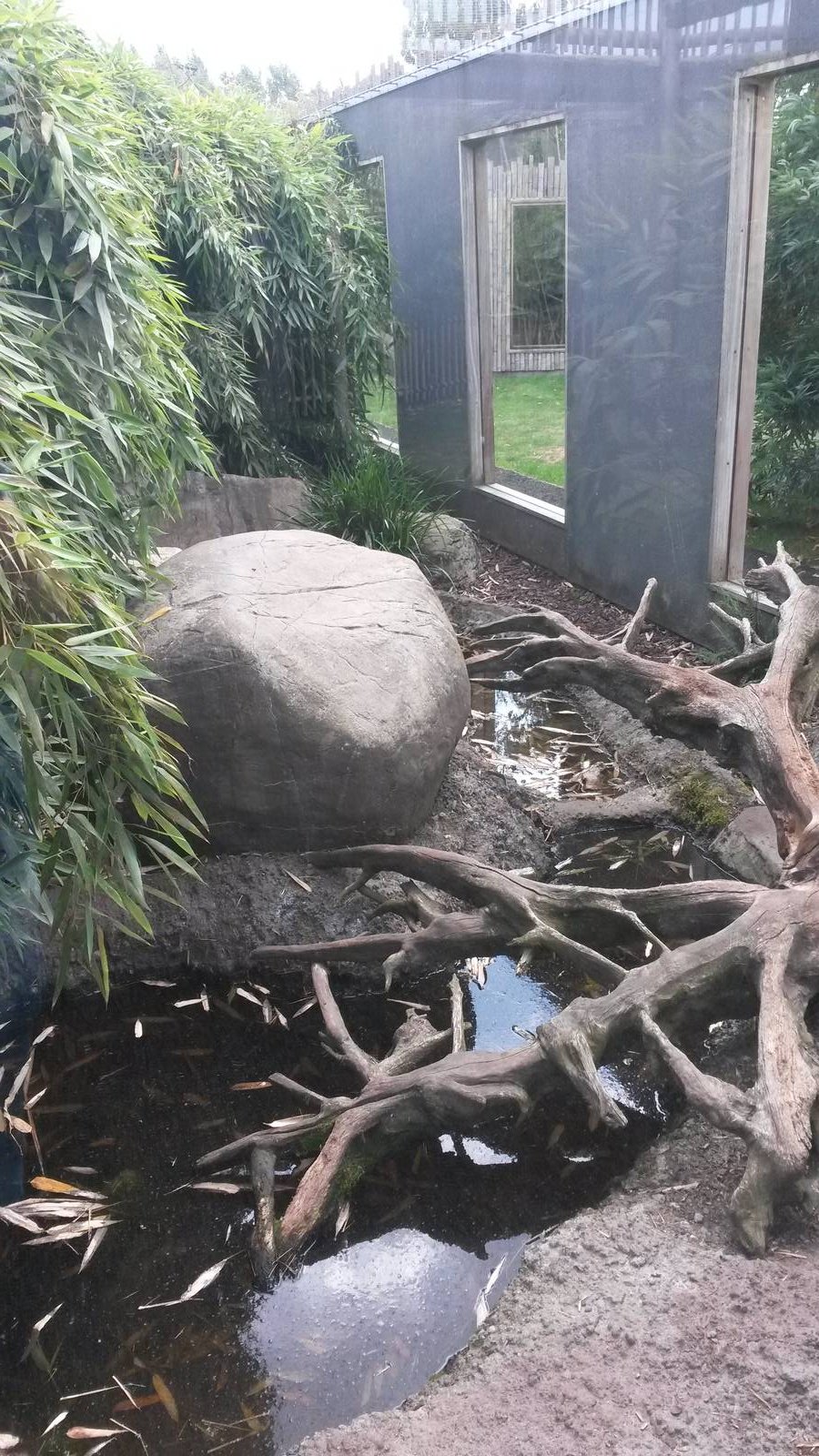 Fishing Cat Enclosure