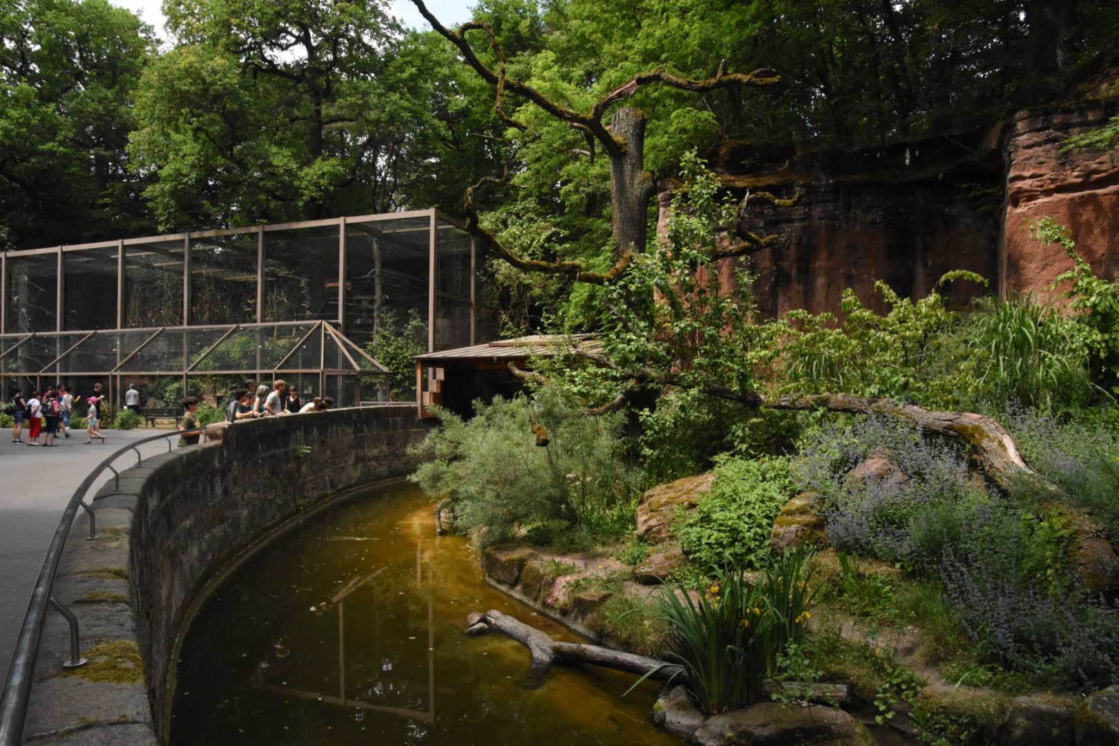 Fishing cat enclosure