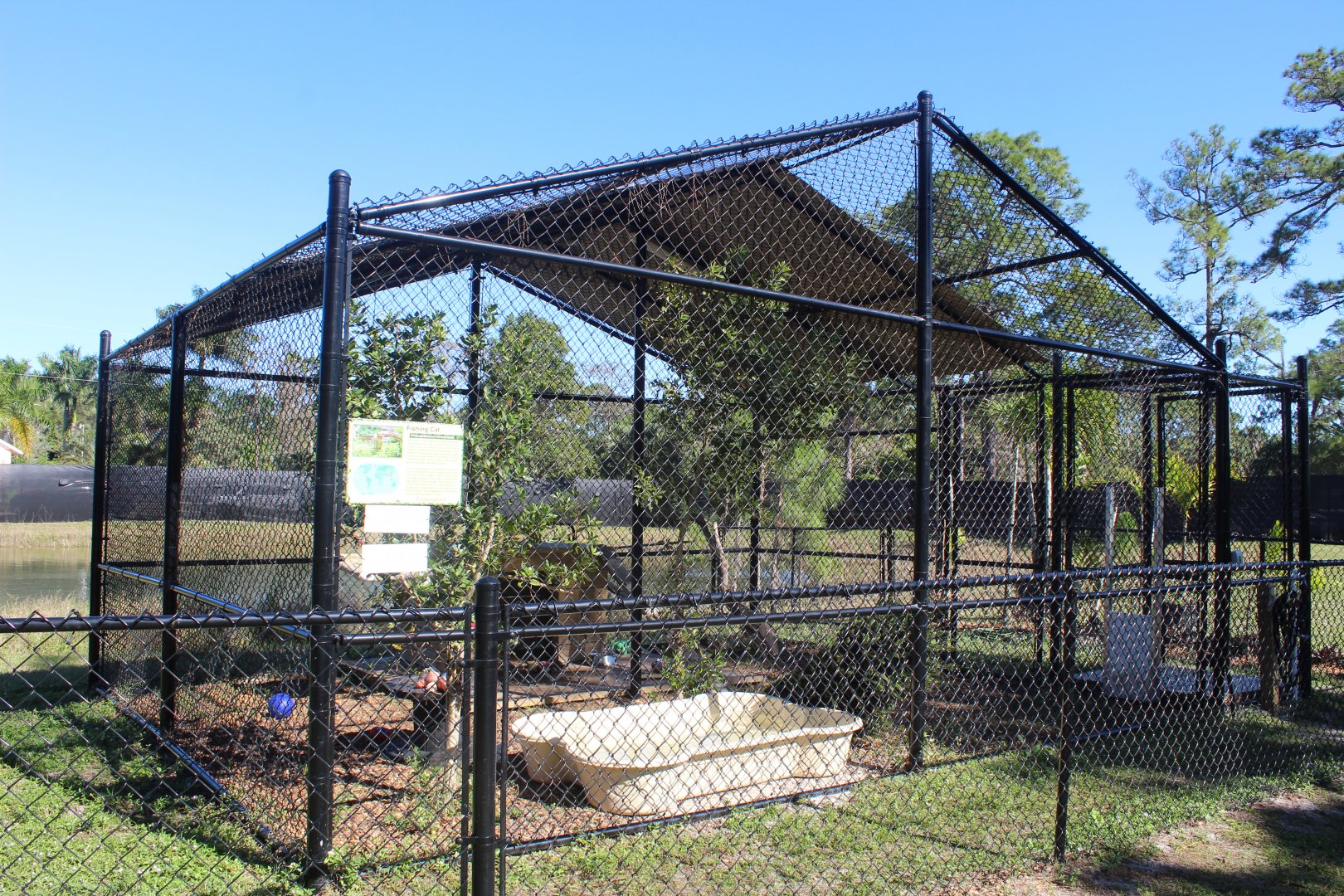 Fishing Cat Enclosure