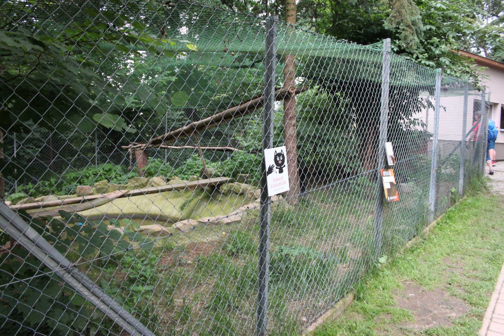 Fishing cat enclosure