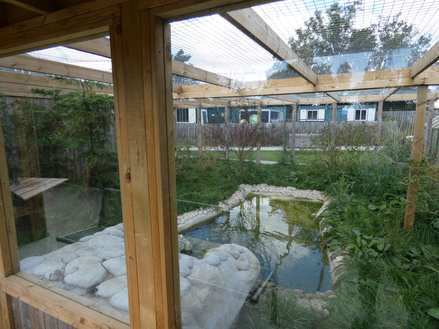 Fishing Cat enclosure