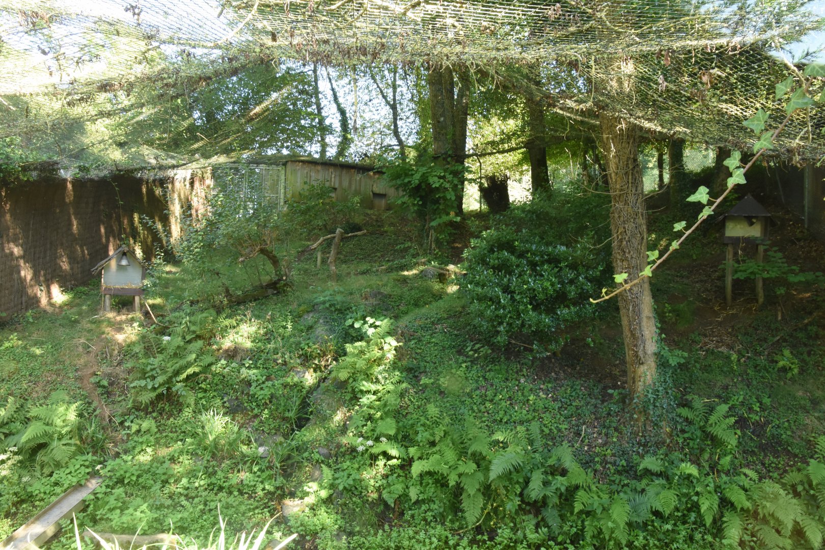 Fishing Cat enclosure