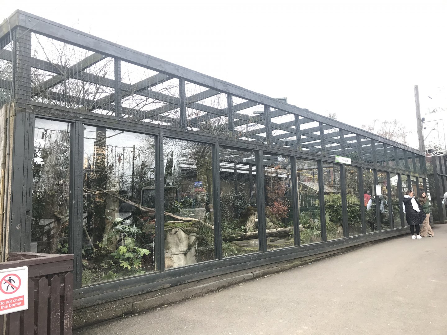 Fishing cat enclosure