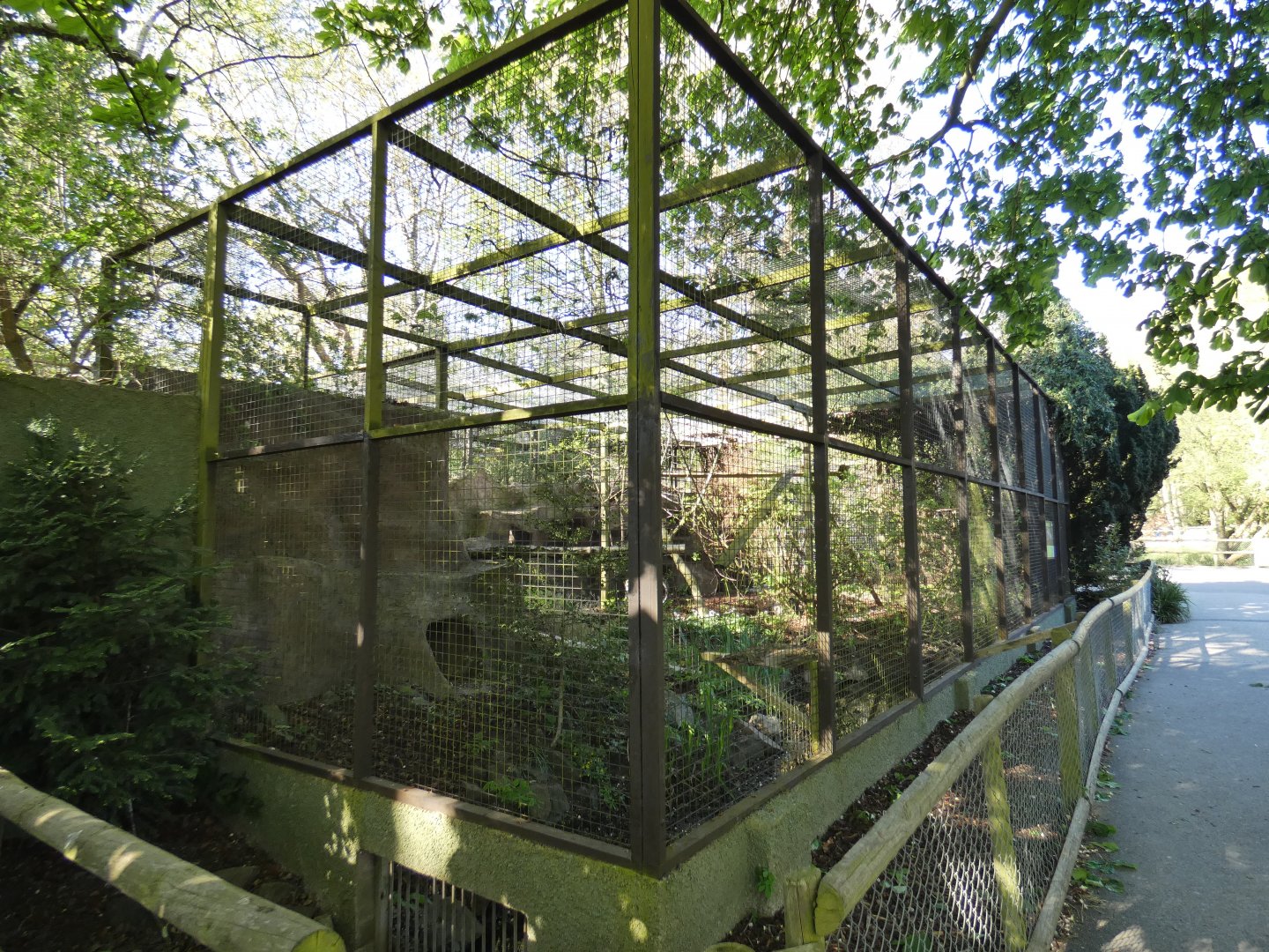 Fishing cat enclosure