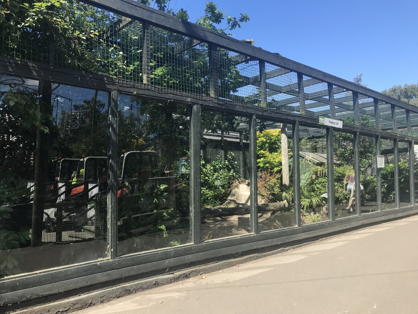 Fishing cat enclosure