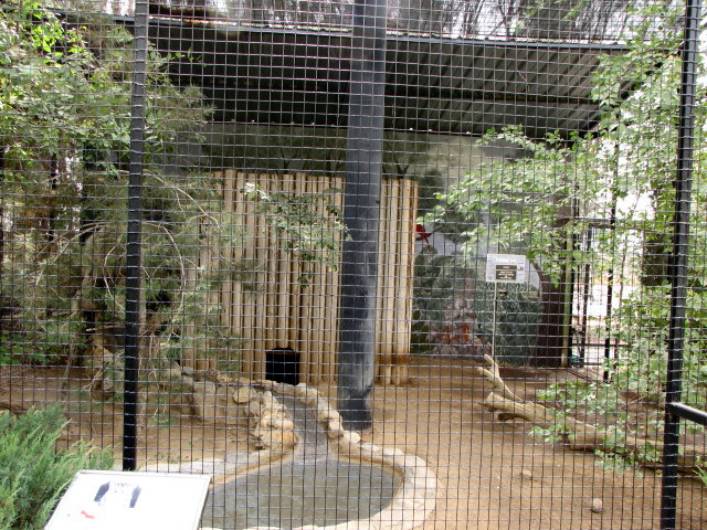 Fishing Cat Enclosure