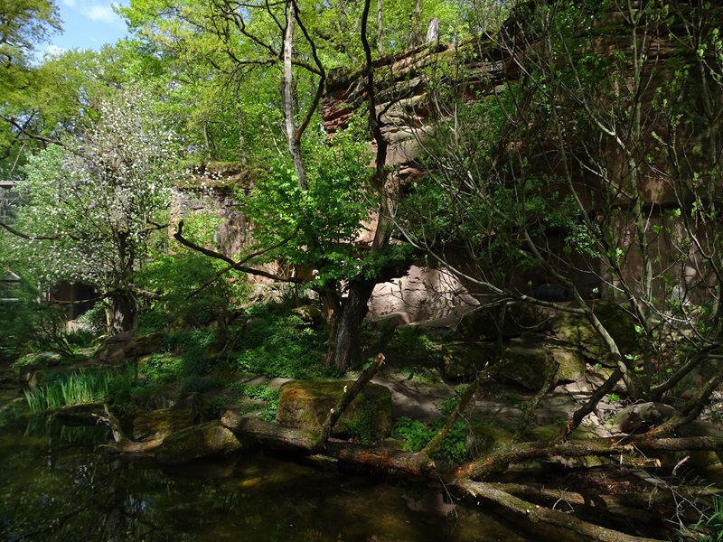 Fishing cat enclosure