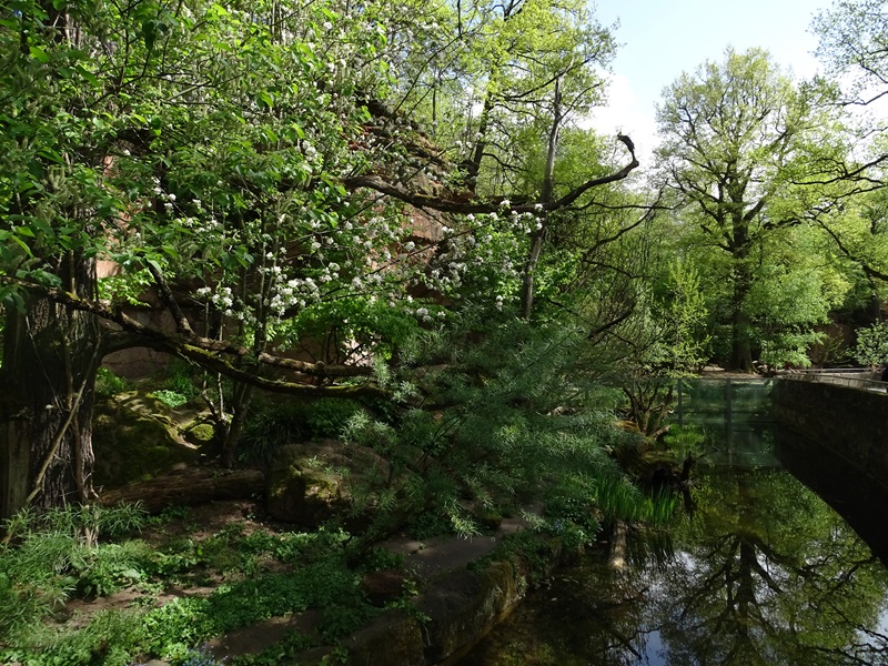 Fishing cat enclosure