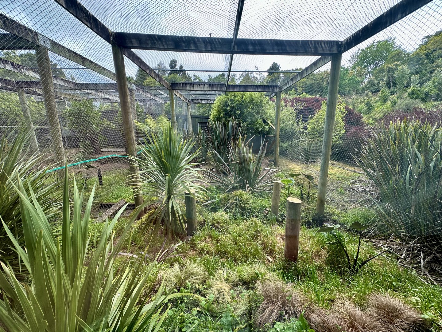 Fishing Cat Exhibit 1