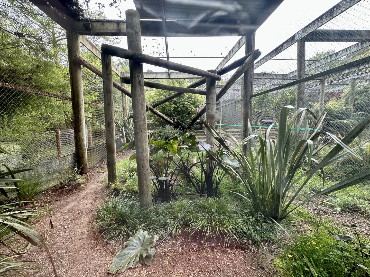 Fishing Cat Exhibit 2