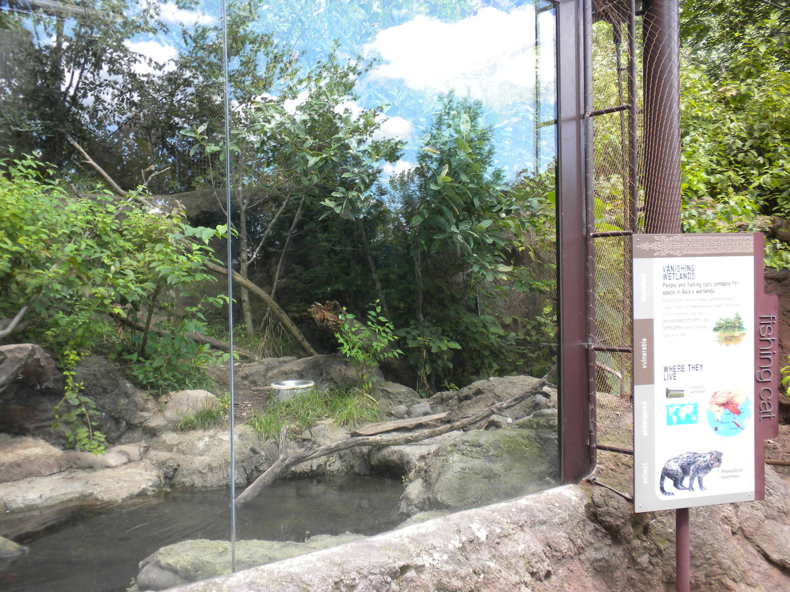 Fishing Cat Exhibit  [Asia Trail]
