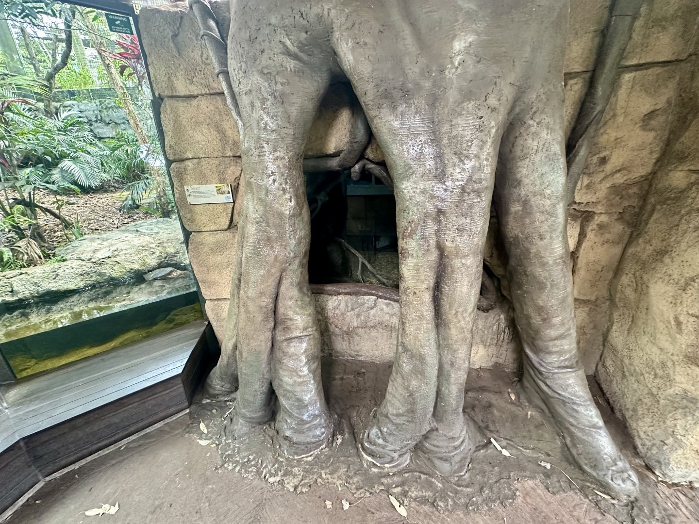 Fishing Cat Exhibit (Cave)