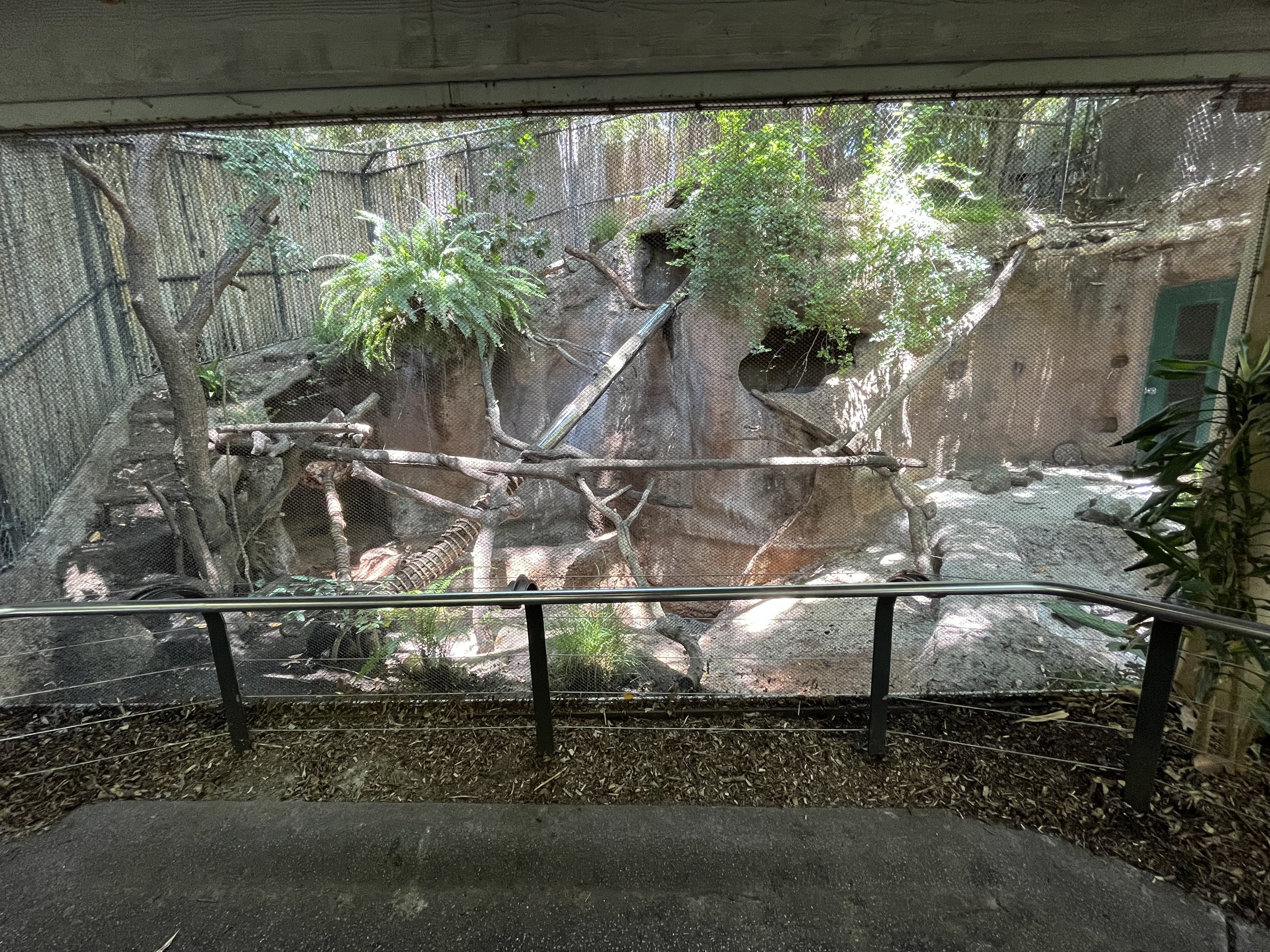 Fishing Cat Exhibit - empty
