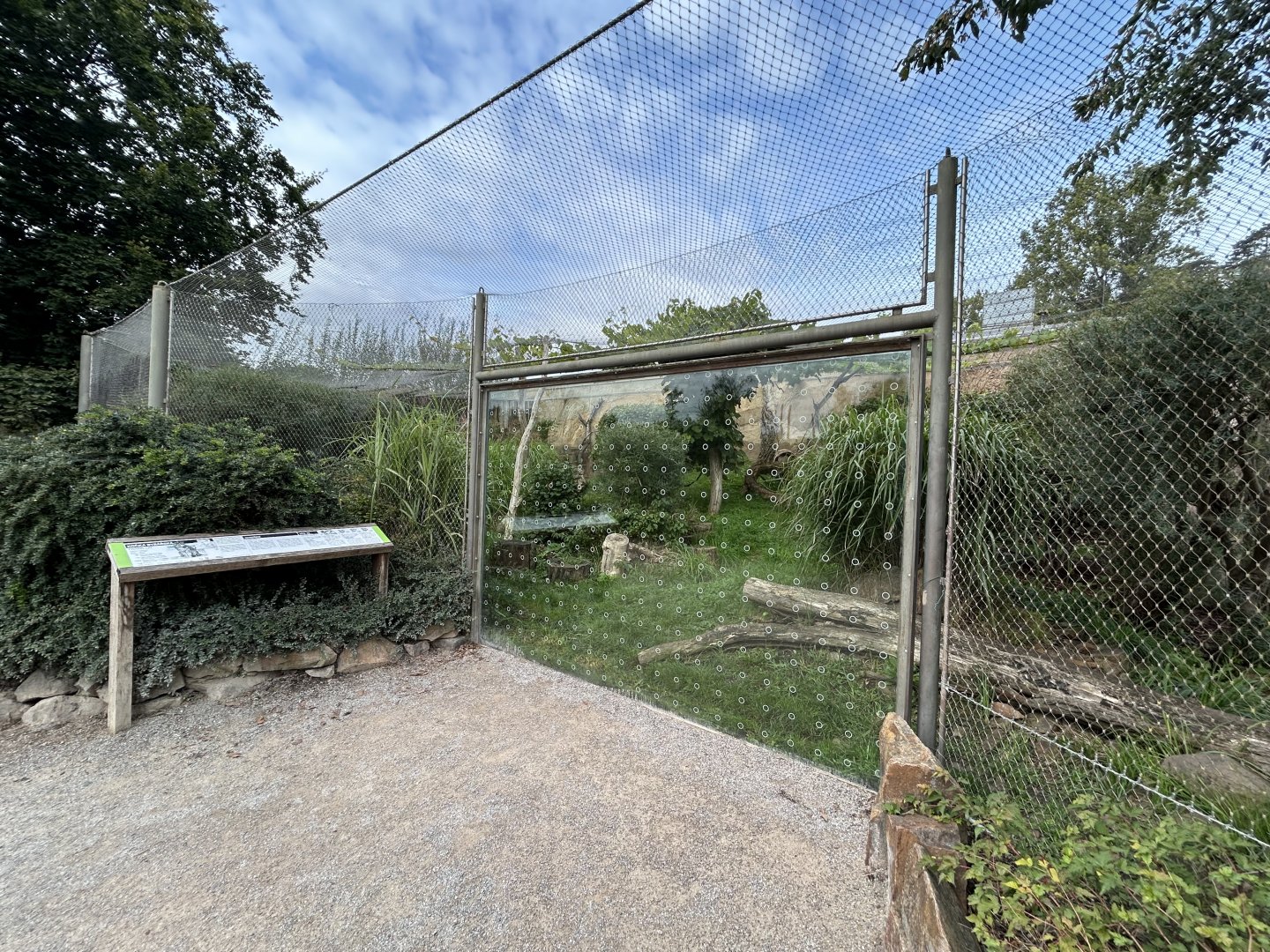 Fishing Cat Exhibit - Feline\Reptile House