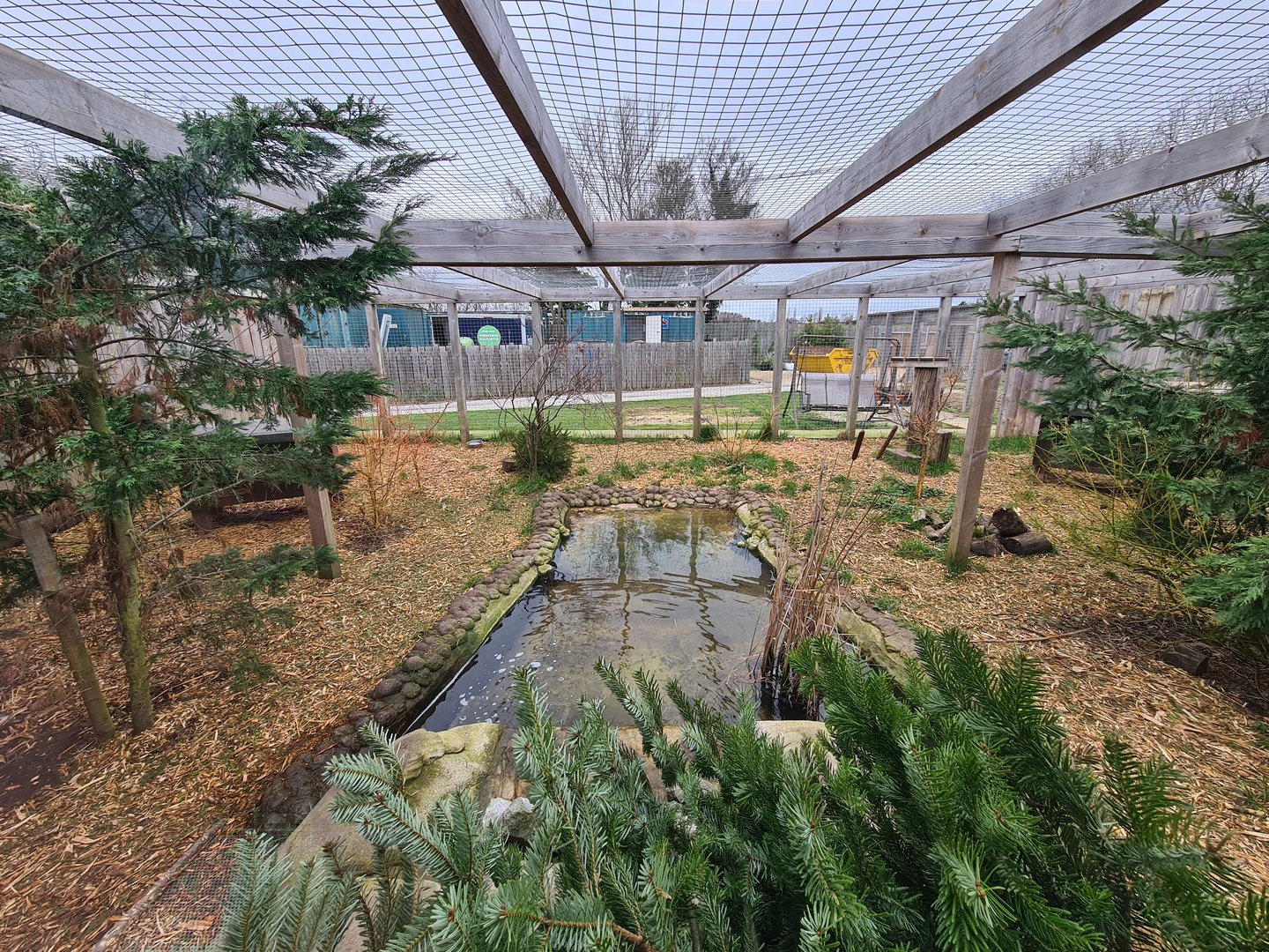 Fishing Cat Exhibit, Fenn Bell