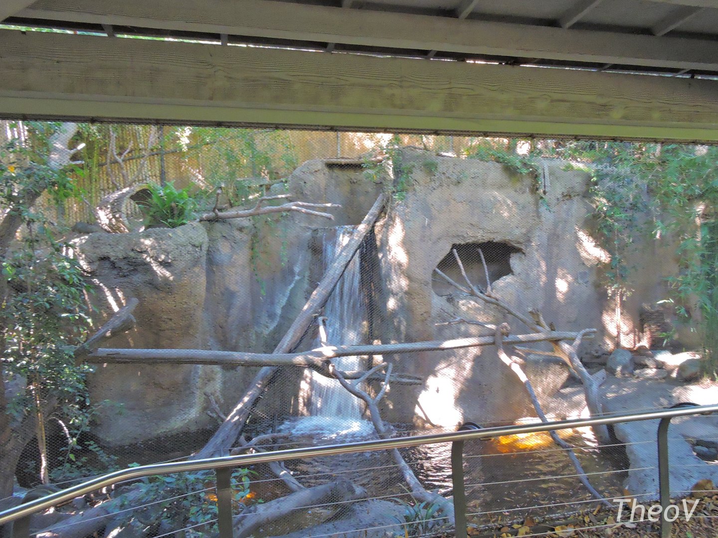 Fishing cat exhibit - Lost Forest [2015]