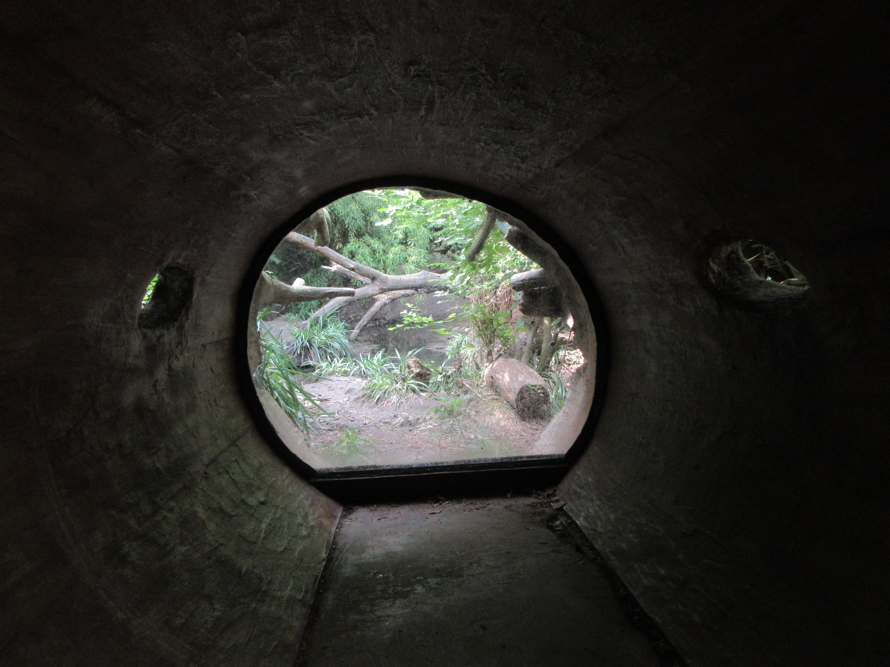 Fishing Cat Exhibit - viewing log