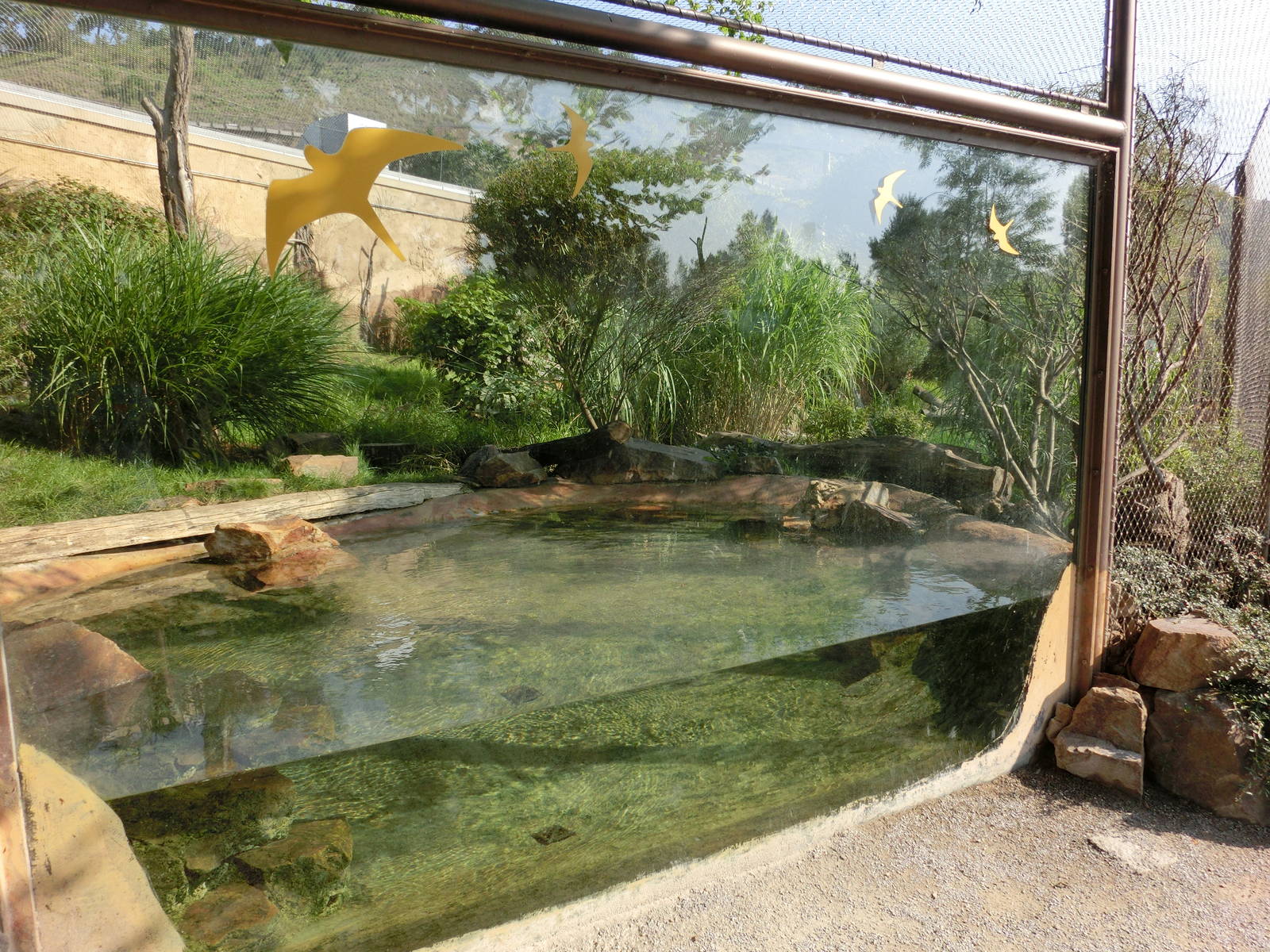 fishing cat exhibit - Zoo Praha