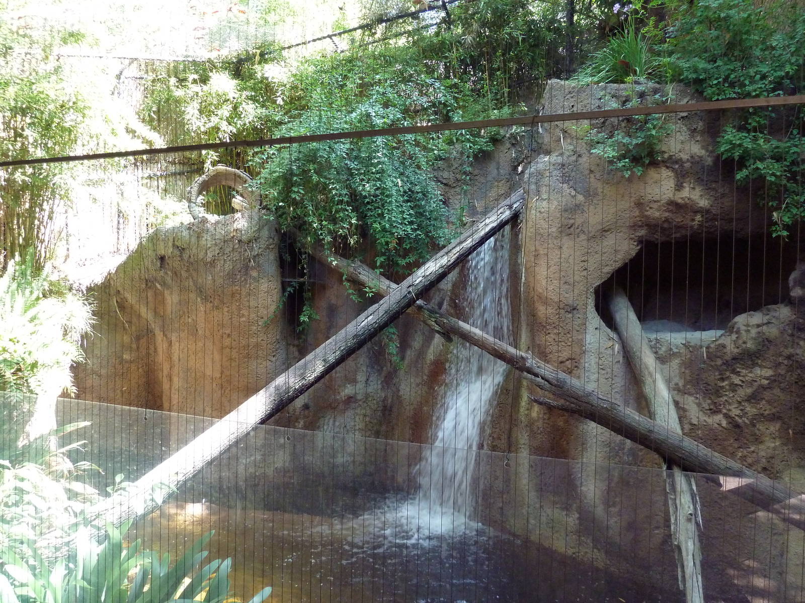 Fishing Cat Exhibit