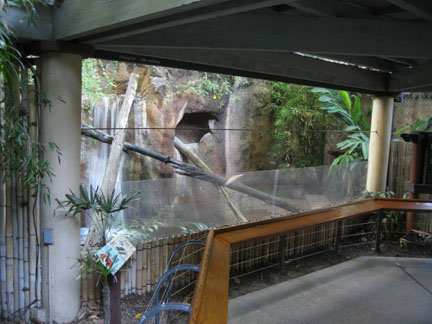 fishing cat exhibit