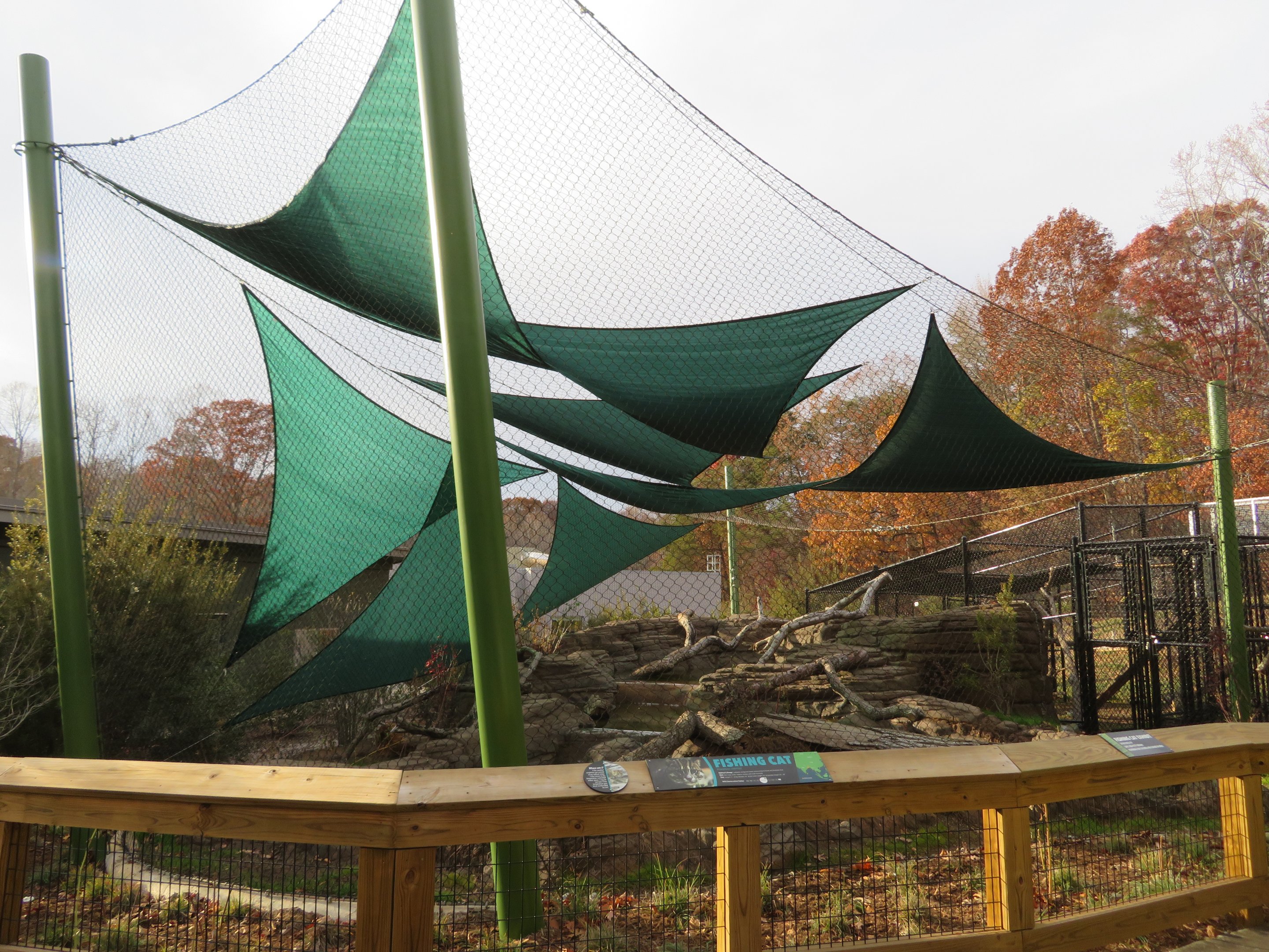 Fishing Cat Exhibit