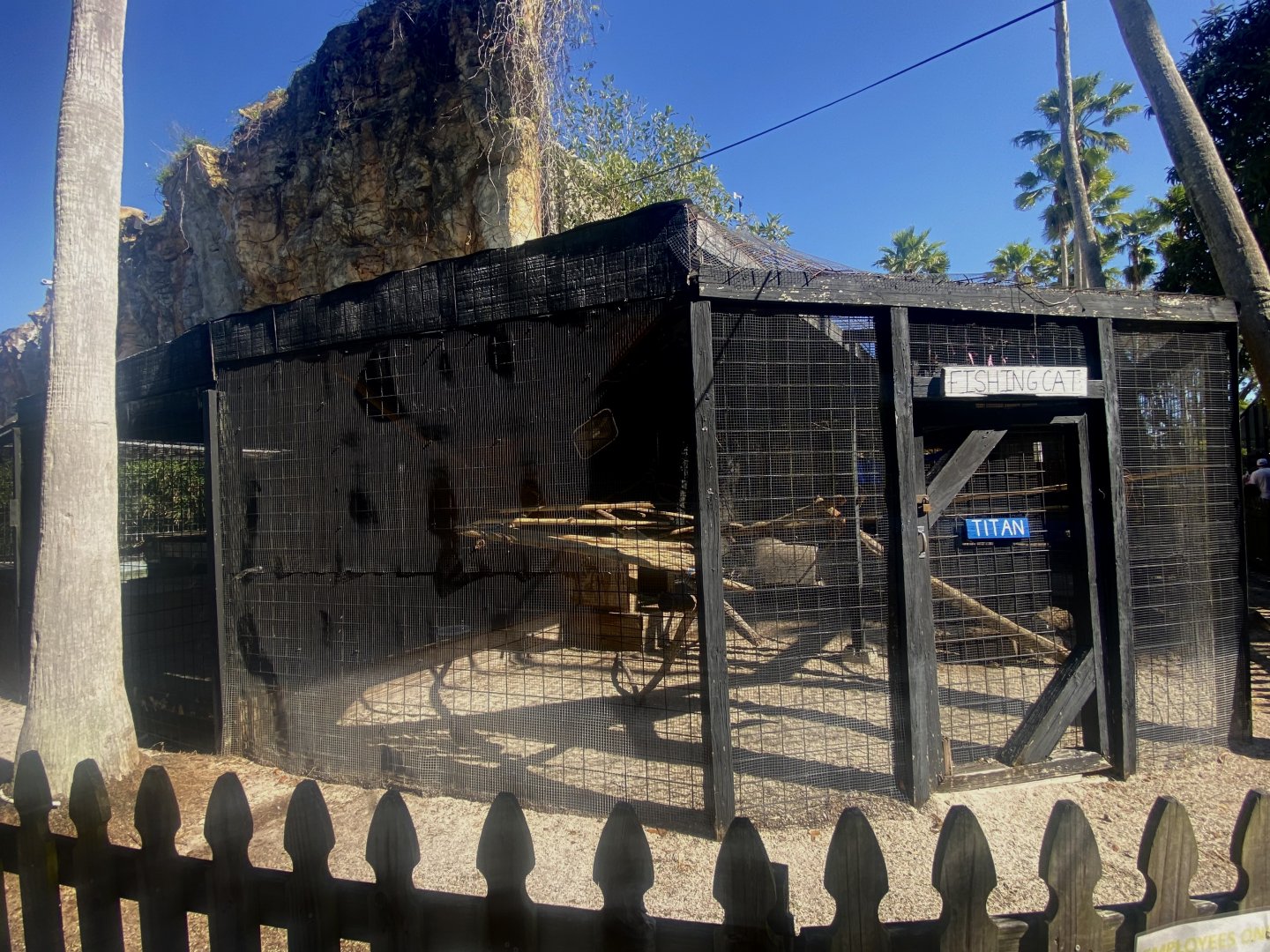 Fishing Cat Exhibit