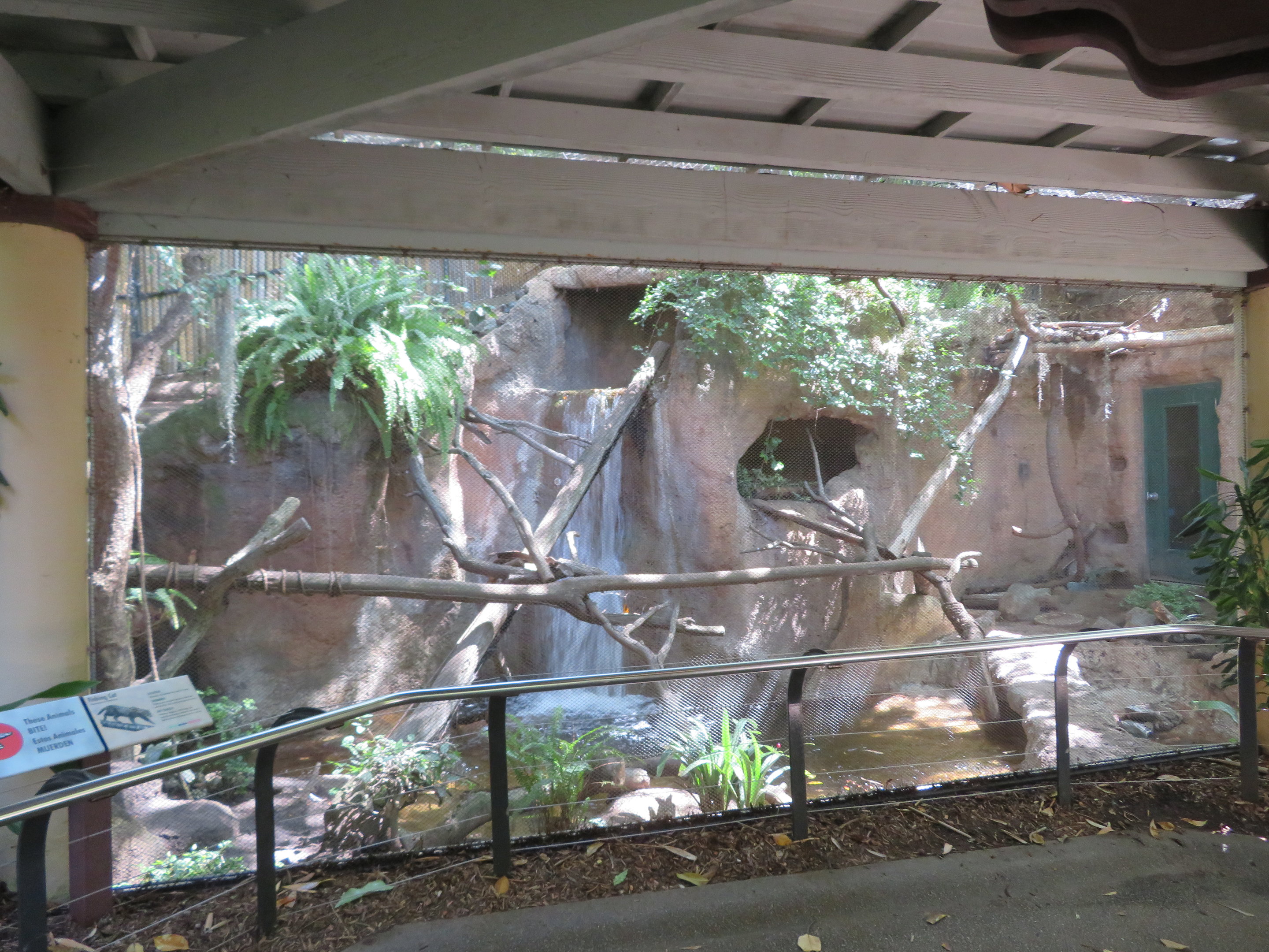 Fishing Cat Exhibit