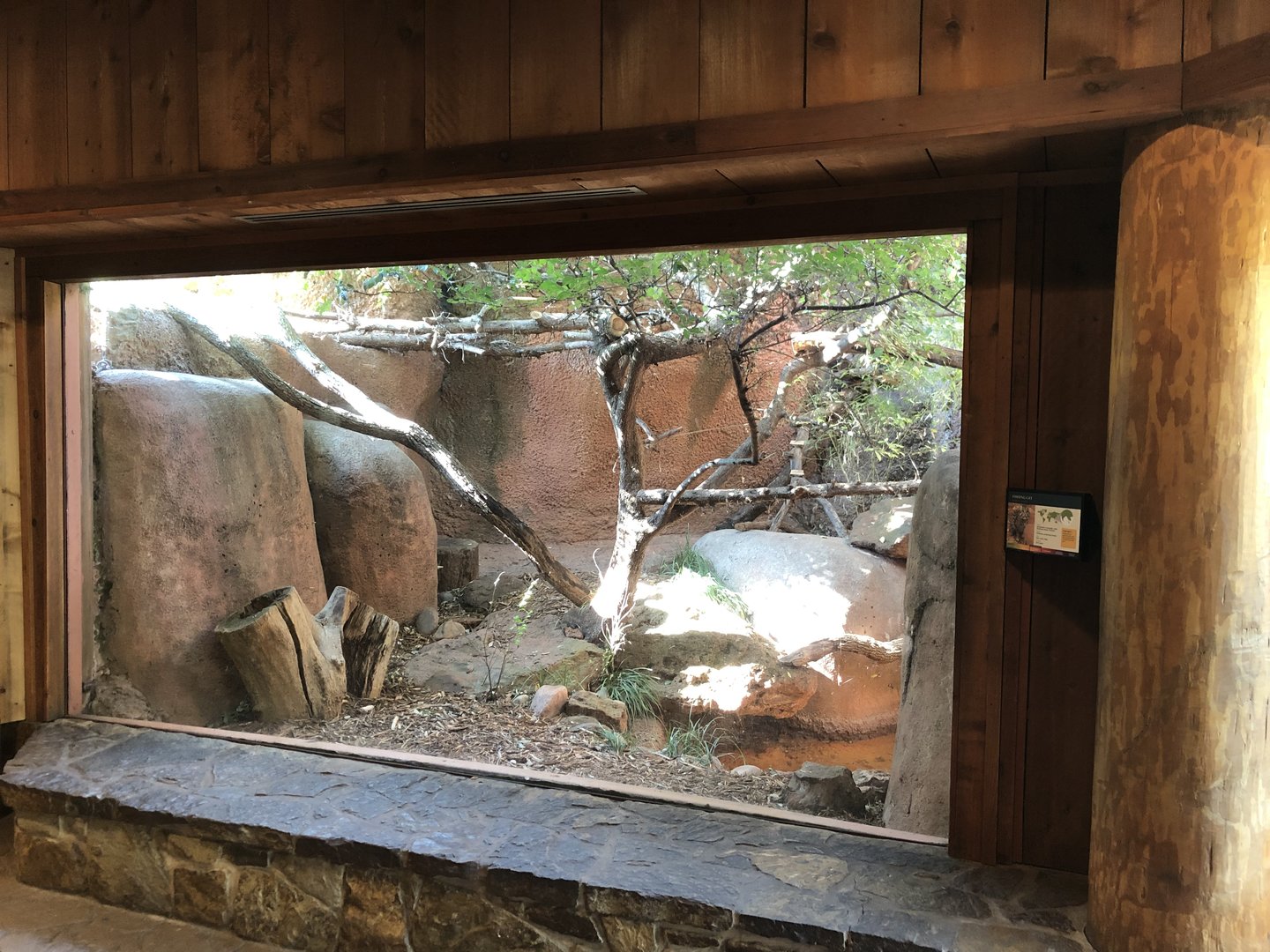 Fishing Cat Exhibit