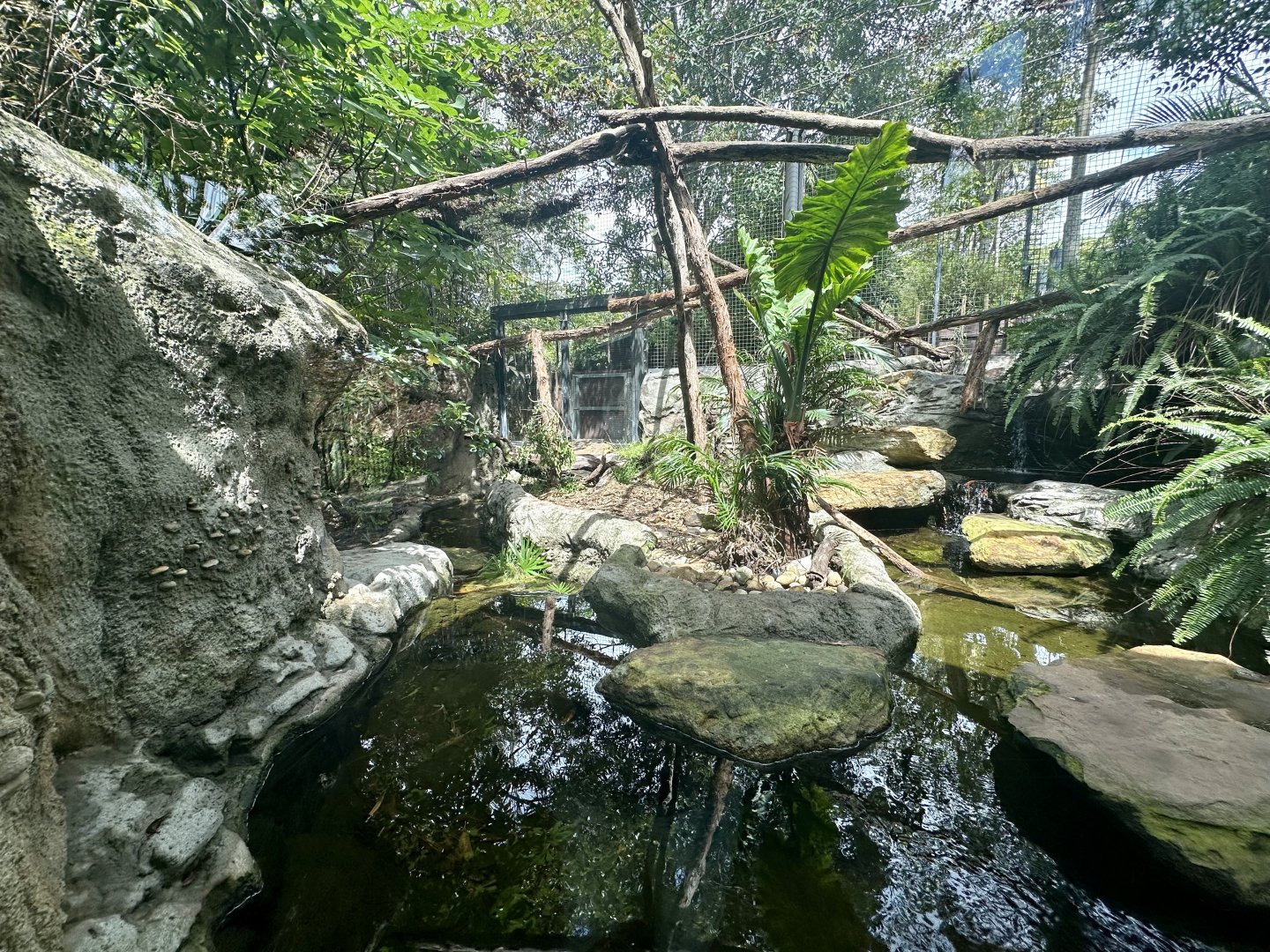 Fishing Cat Exhibit