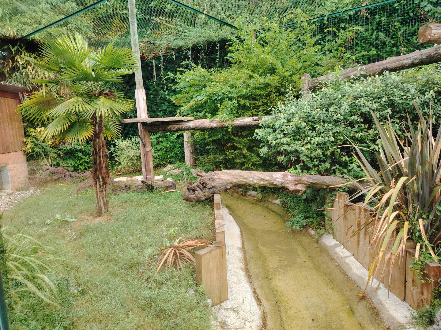 Fishing Cat Exhibit