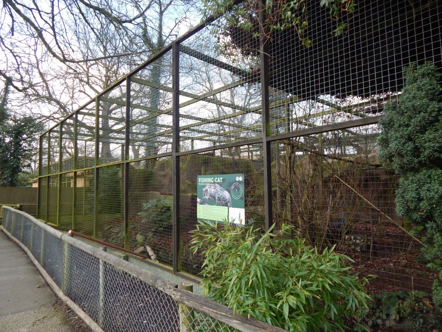 Fishing cat habitat 040324