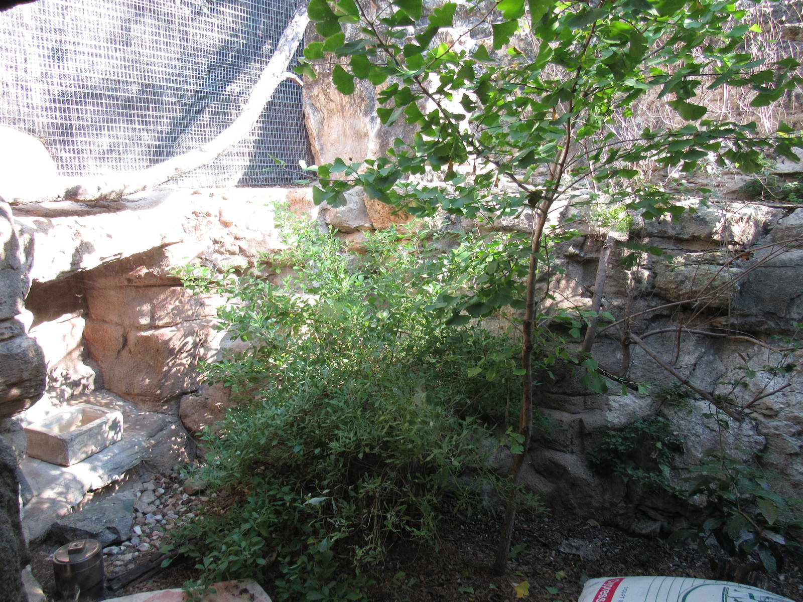 Fishing Cat Habitat Under Renovation