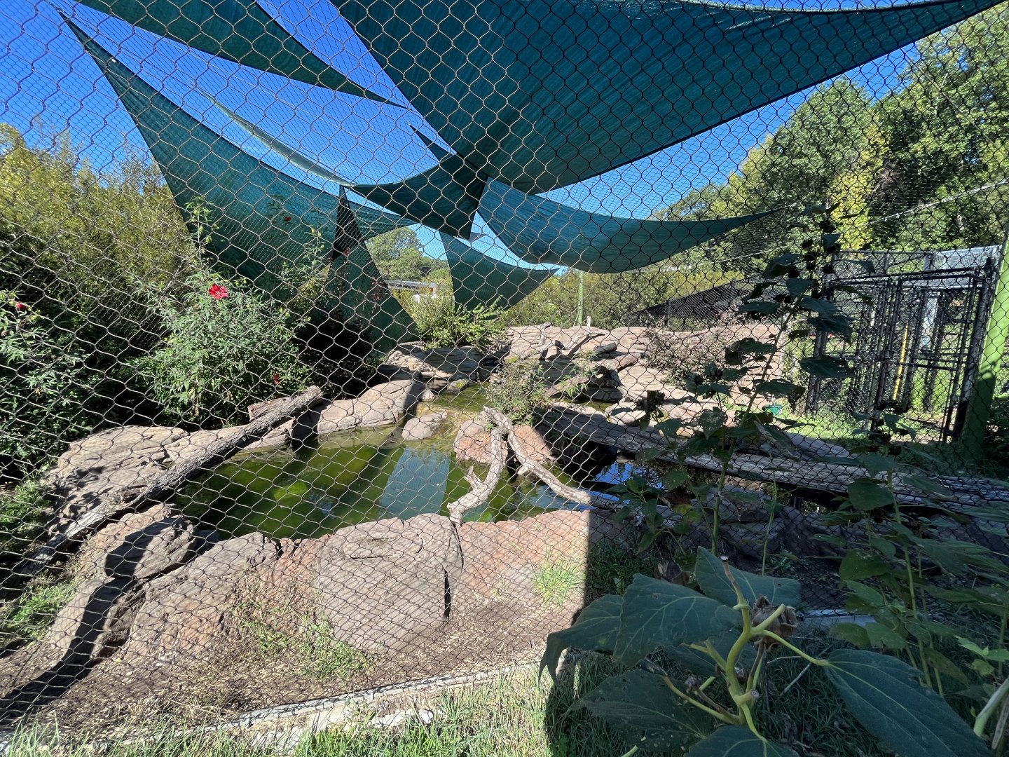 Fishing Cat Habitat