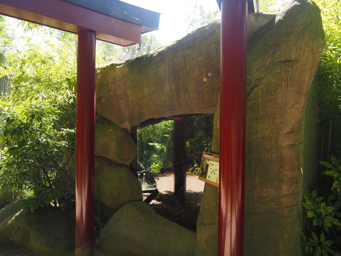 Fishing cat house, 2024-06-30