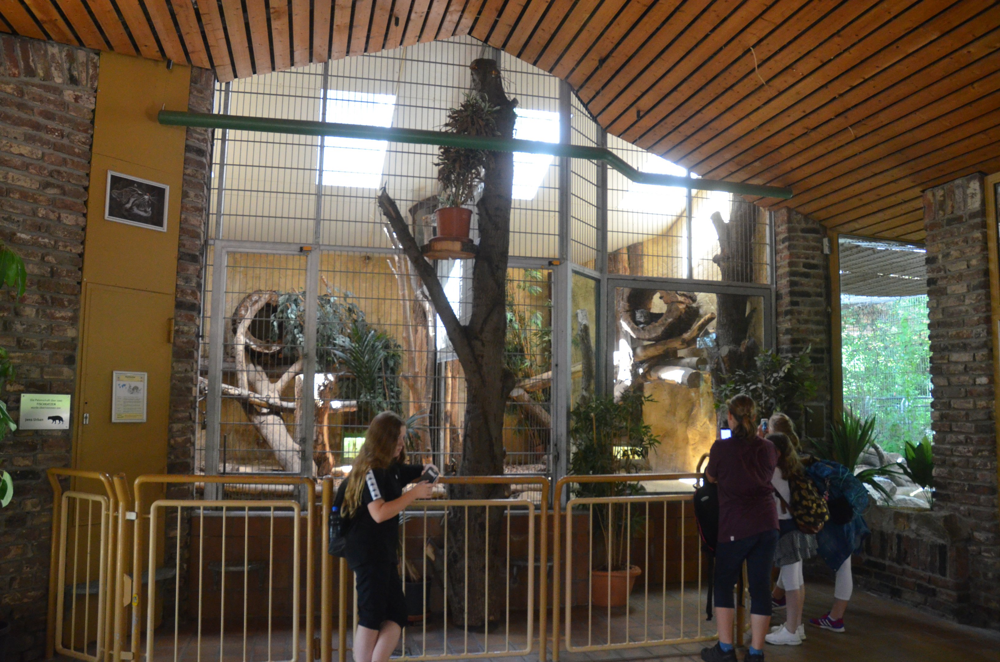 Fishing Cat Indoor Enclosure at Duisburg, 17/06/19