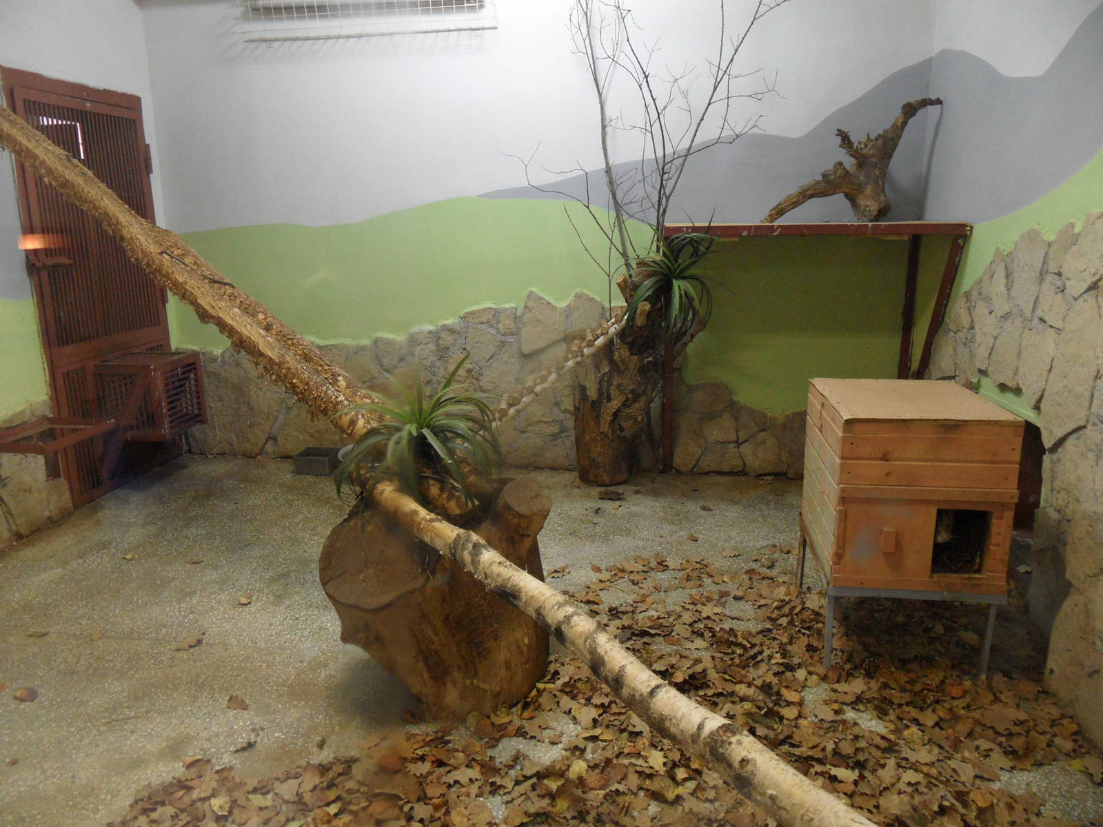 Fishing cat/Jaguar exhibit