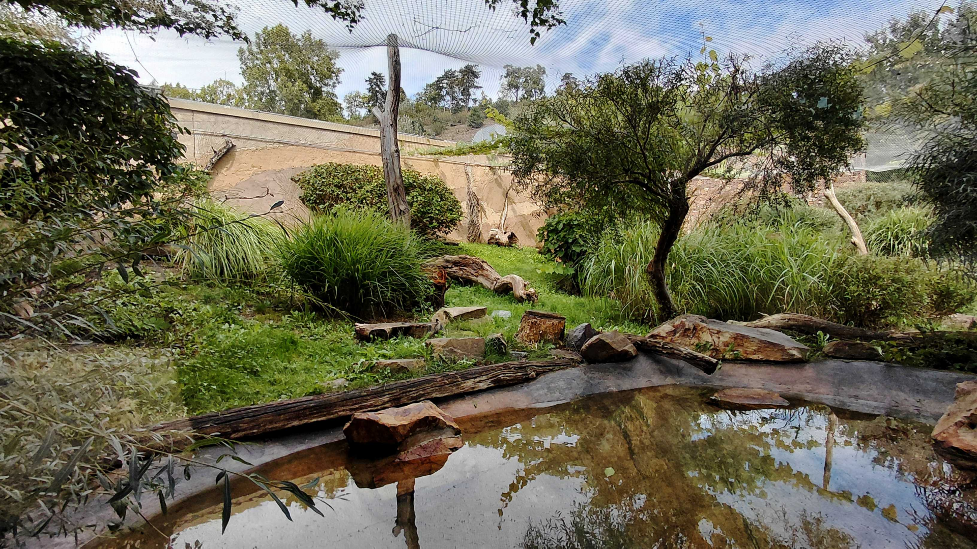 Fishing cat outdoor exhibit